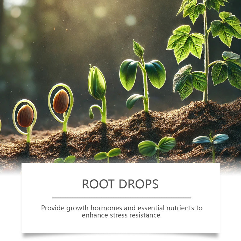 Liquid Rooting Hormone